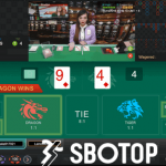 SBOTOP: Peraturan Taruhan SBO Live Dealer Dragon Tiger Terbaru